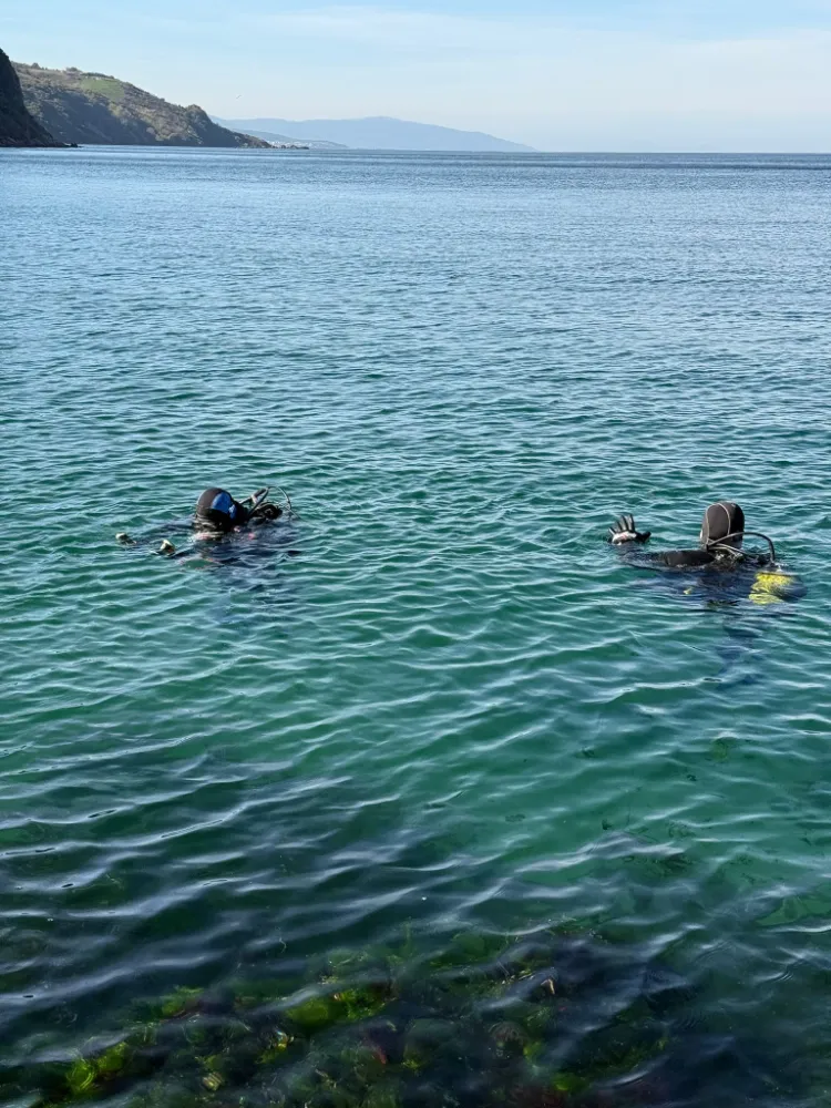 Marmara Denizi’nin ekolojik yapısı mercek altında